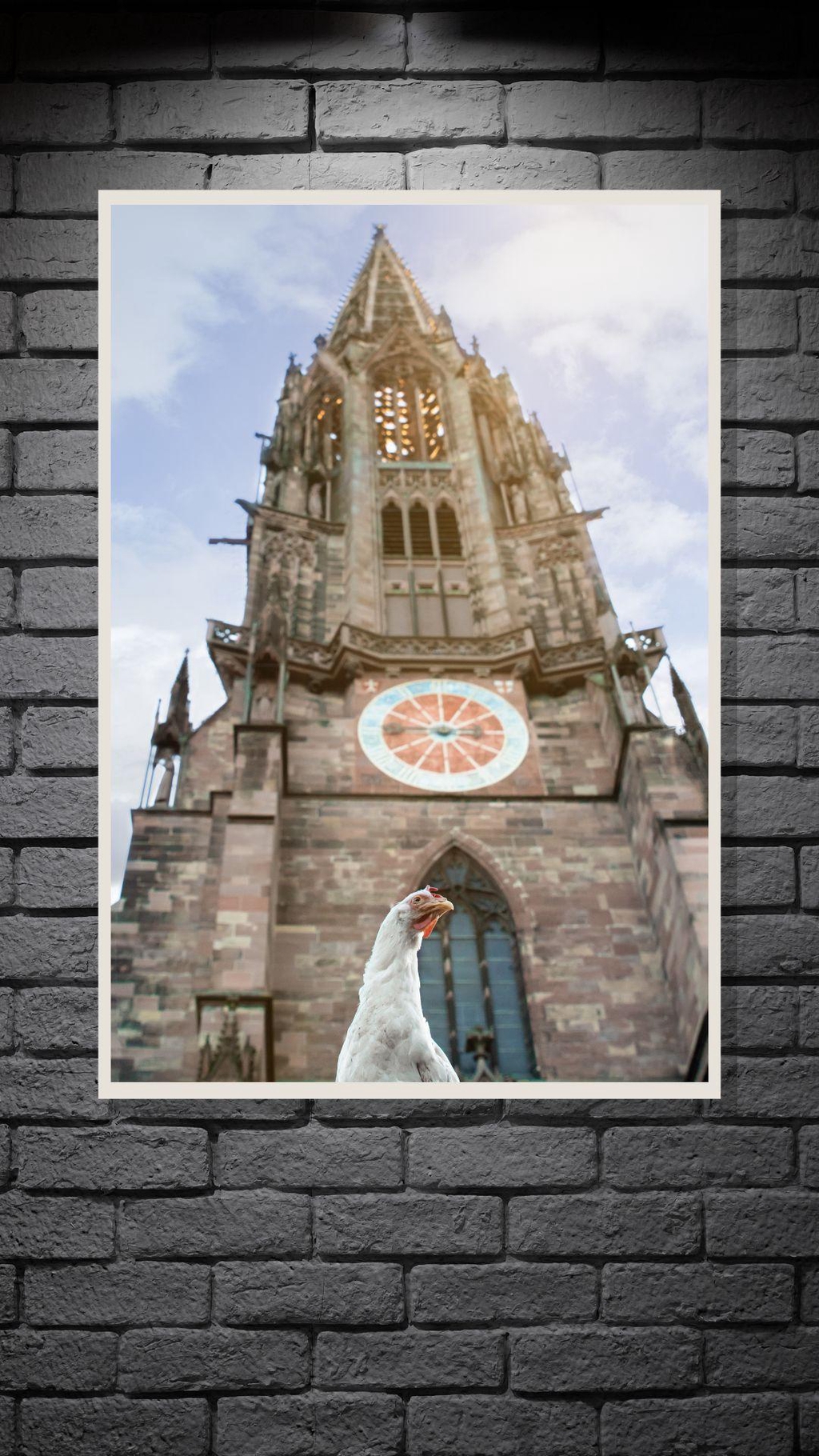 product_list_image_cover