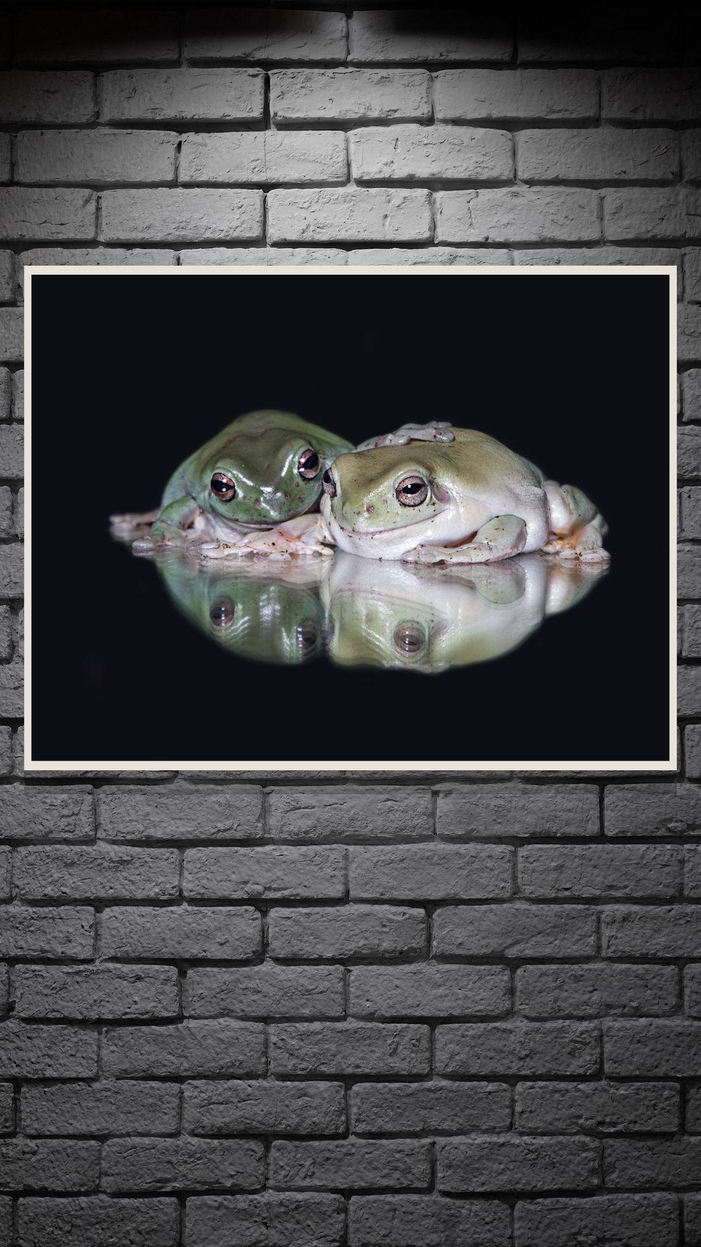 product_list_image_cover