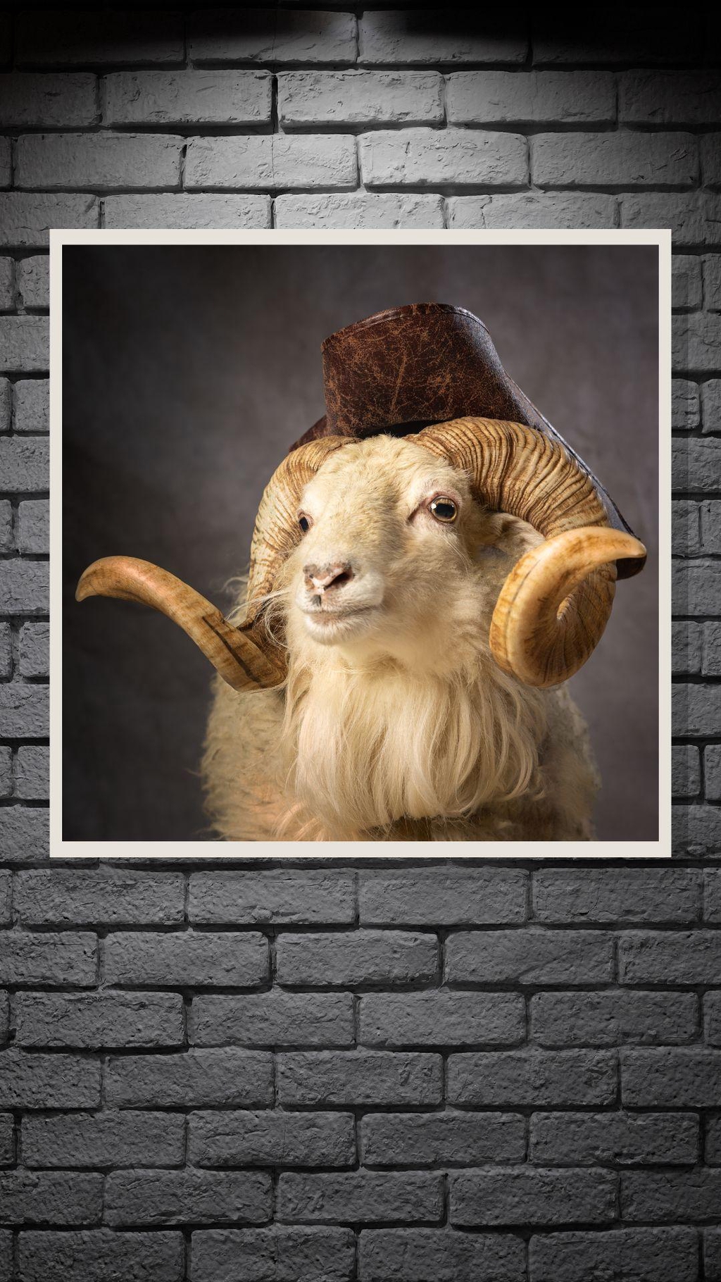 product_list_image_cover