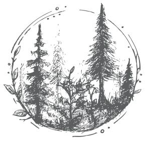 store_logo