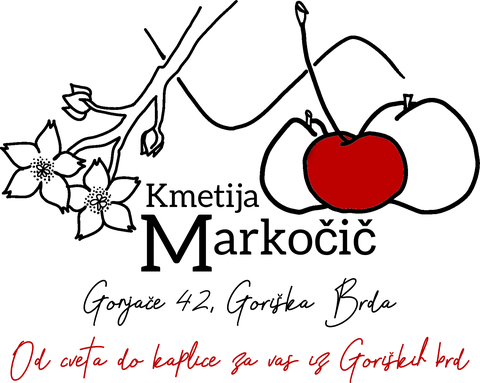 store_logo