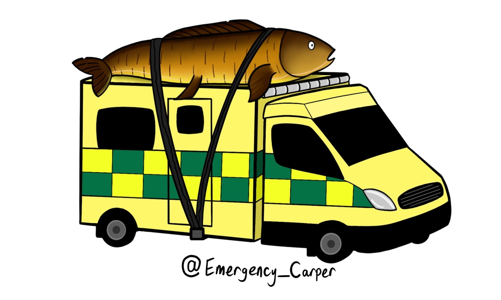 Emergency Carper