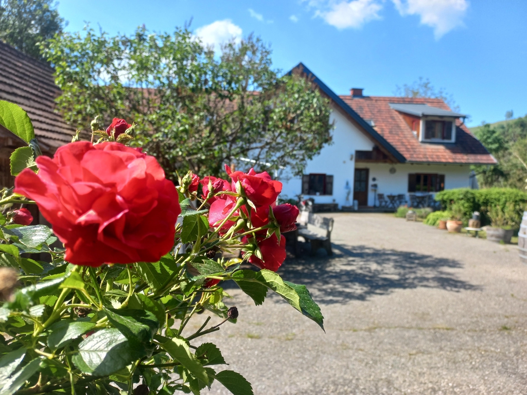 Das Bioweingut liegt an der Südsteirischen Weinstrasse. Seit 23 Jahren sind wir ein Bio Weingut. Seit fast 500 Jahren gibt es schon unseren Hof und so wie damals wird auch heute der Biowein ausgeschenkt und so wie damals gibt es auch heute noch eine Jause dazu. 