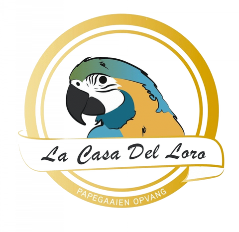 store_logo