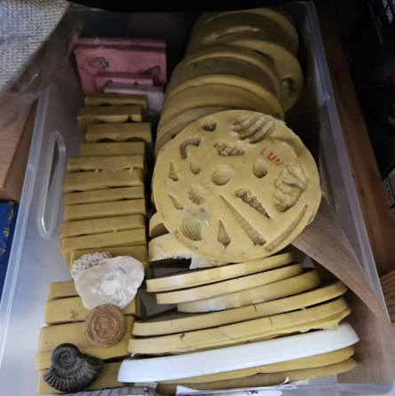 Section image