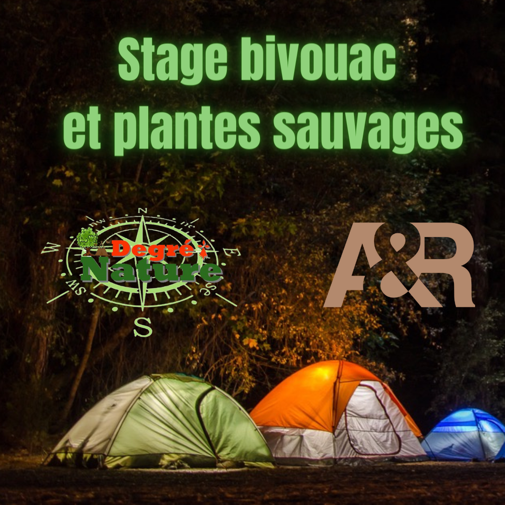 Stage bivouac et plantes sauvages