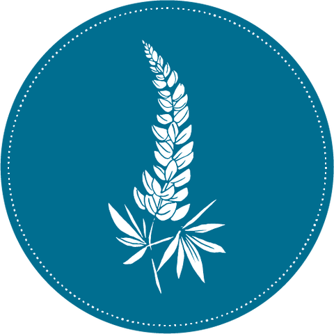 store_logo