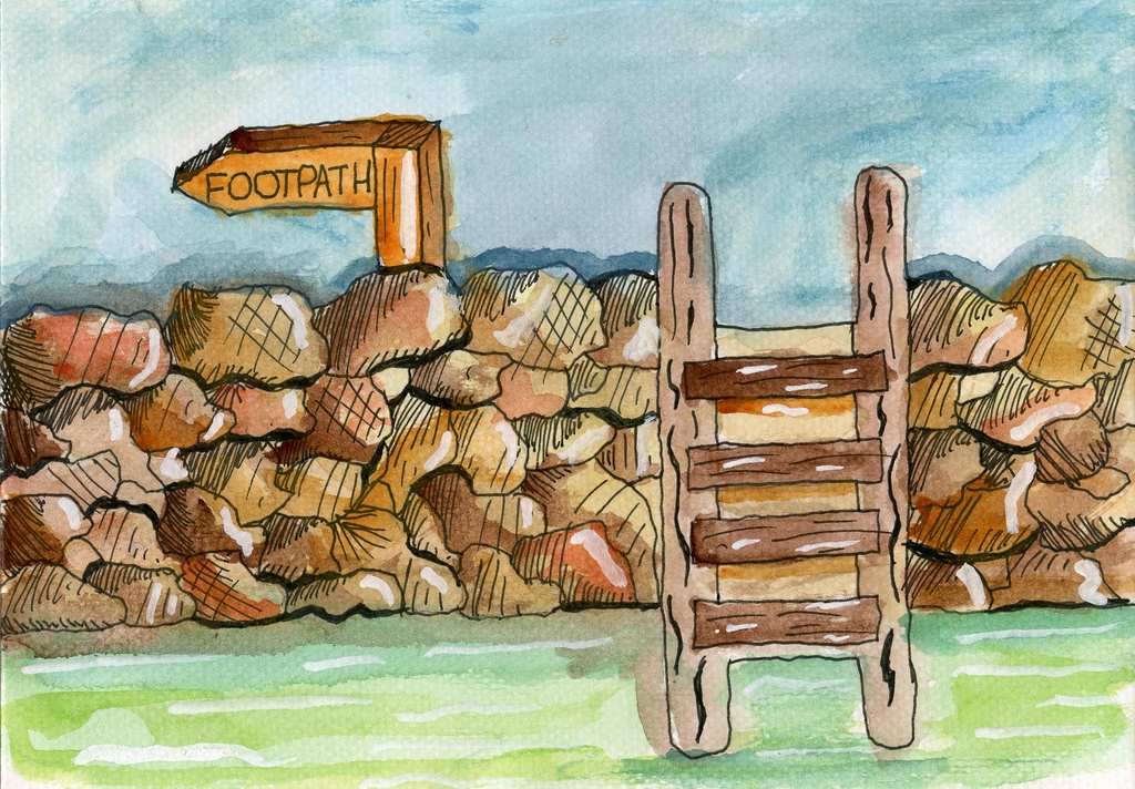 Banner image