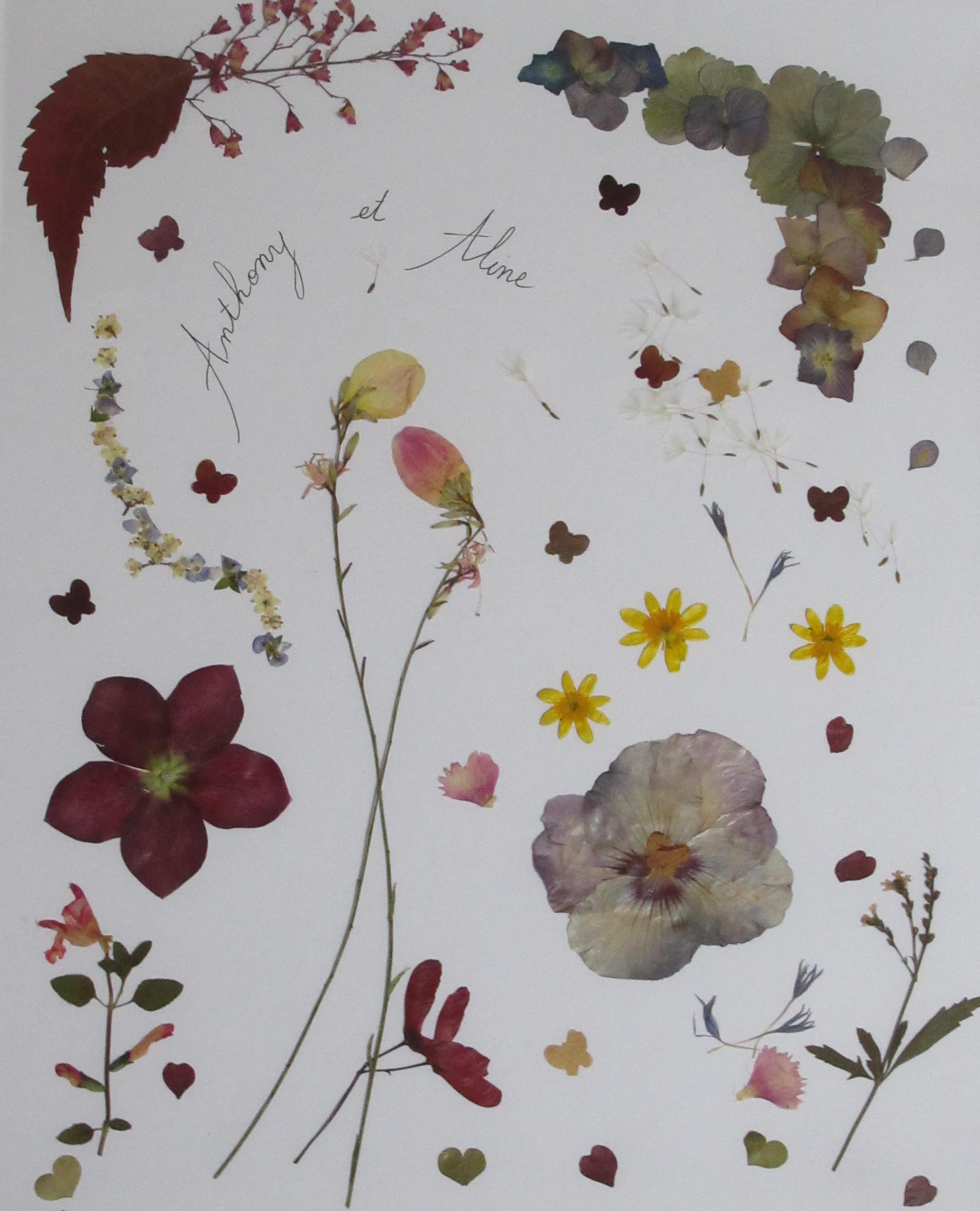 Section image