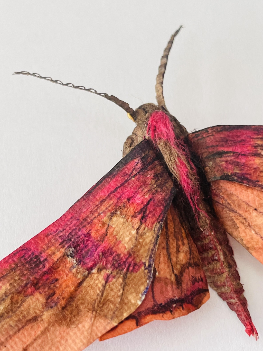 banner_image