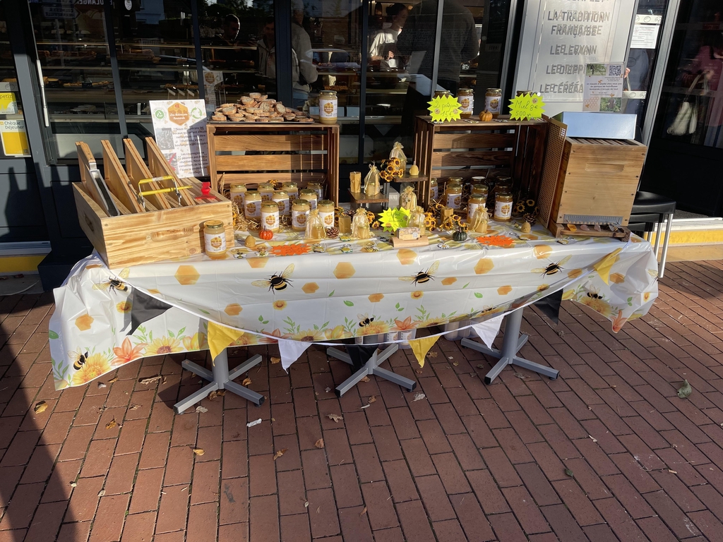 banner_image