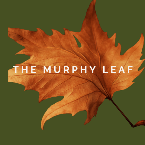 The Murphy Leaf
A couple of Canadians who love all things craft and haberdashery with a bit of an vintage twist.