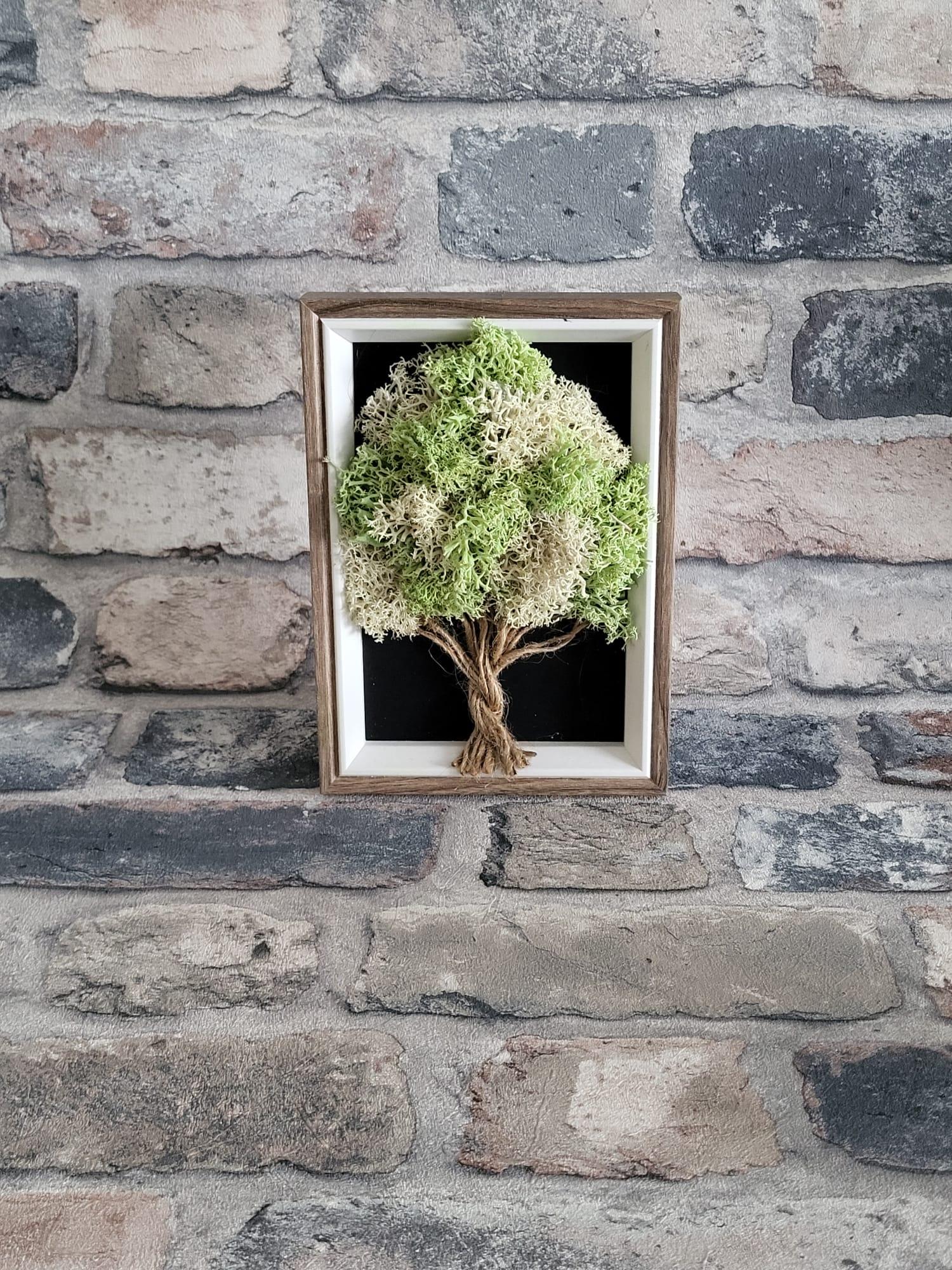 Moss Decoration