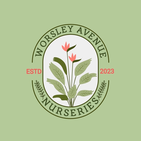 Worsley Ave Nurseries
