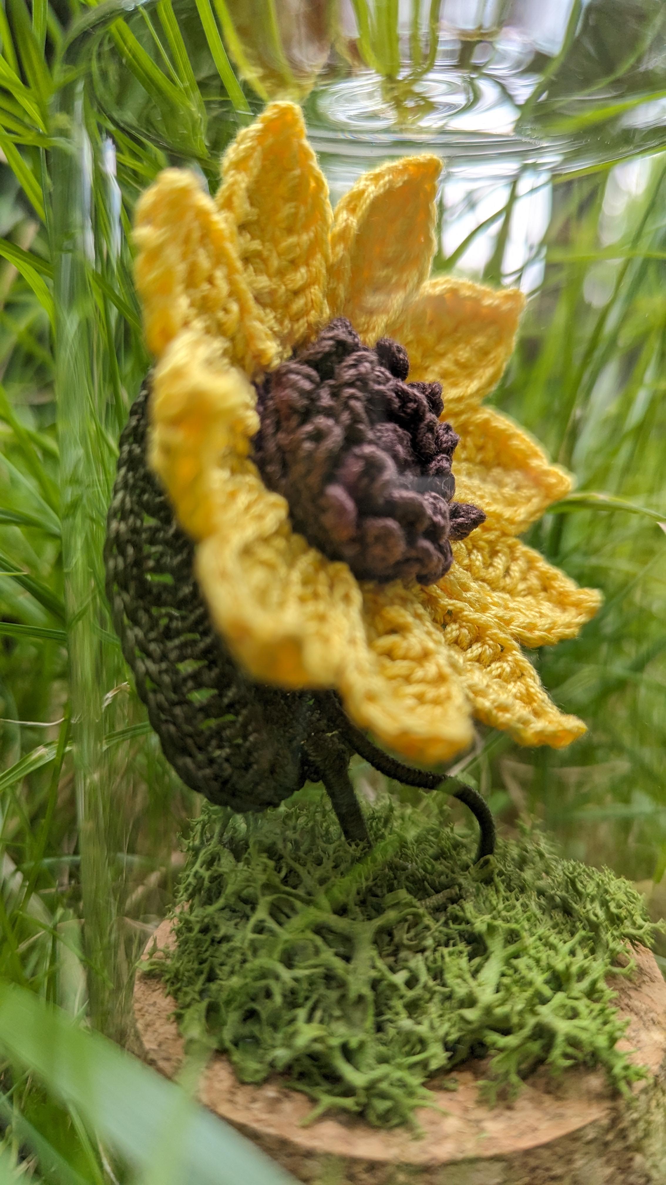 Fleurs miniatures