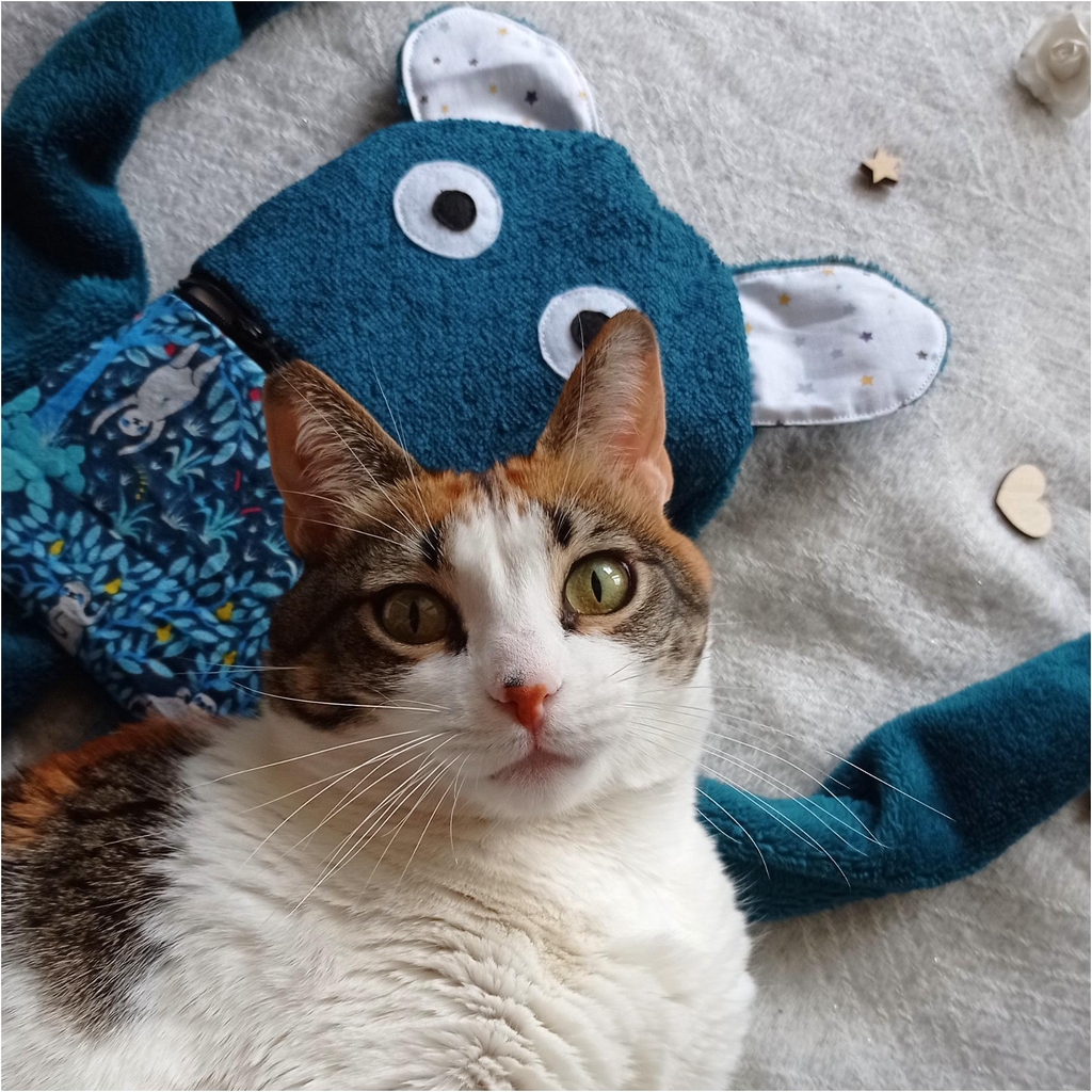 Instagram L'atelier de Photine
Suivez-moi pour suivre les dernières actualités !