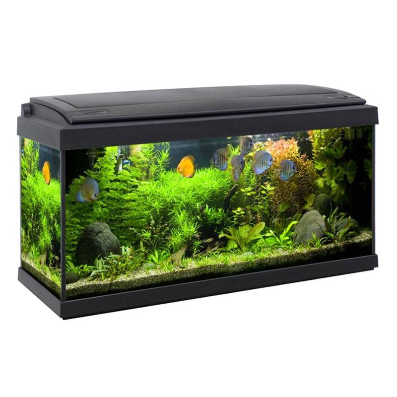 Acquariologia