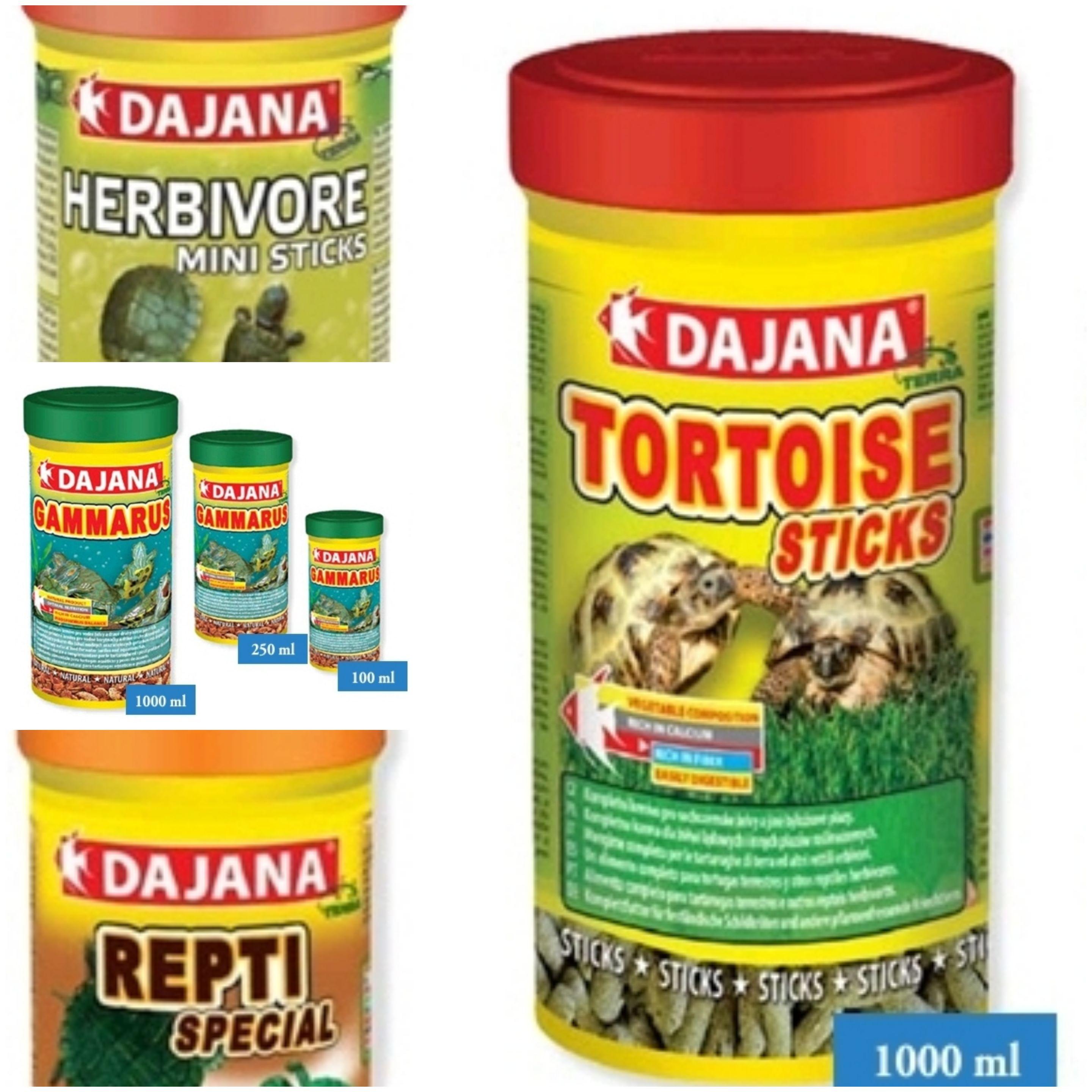 Alimentazione rettili