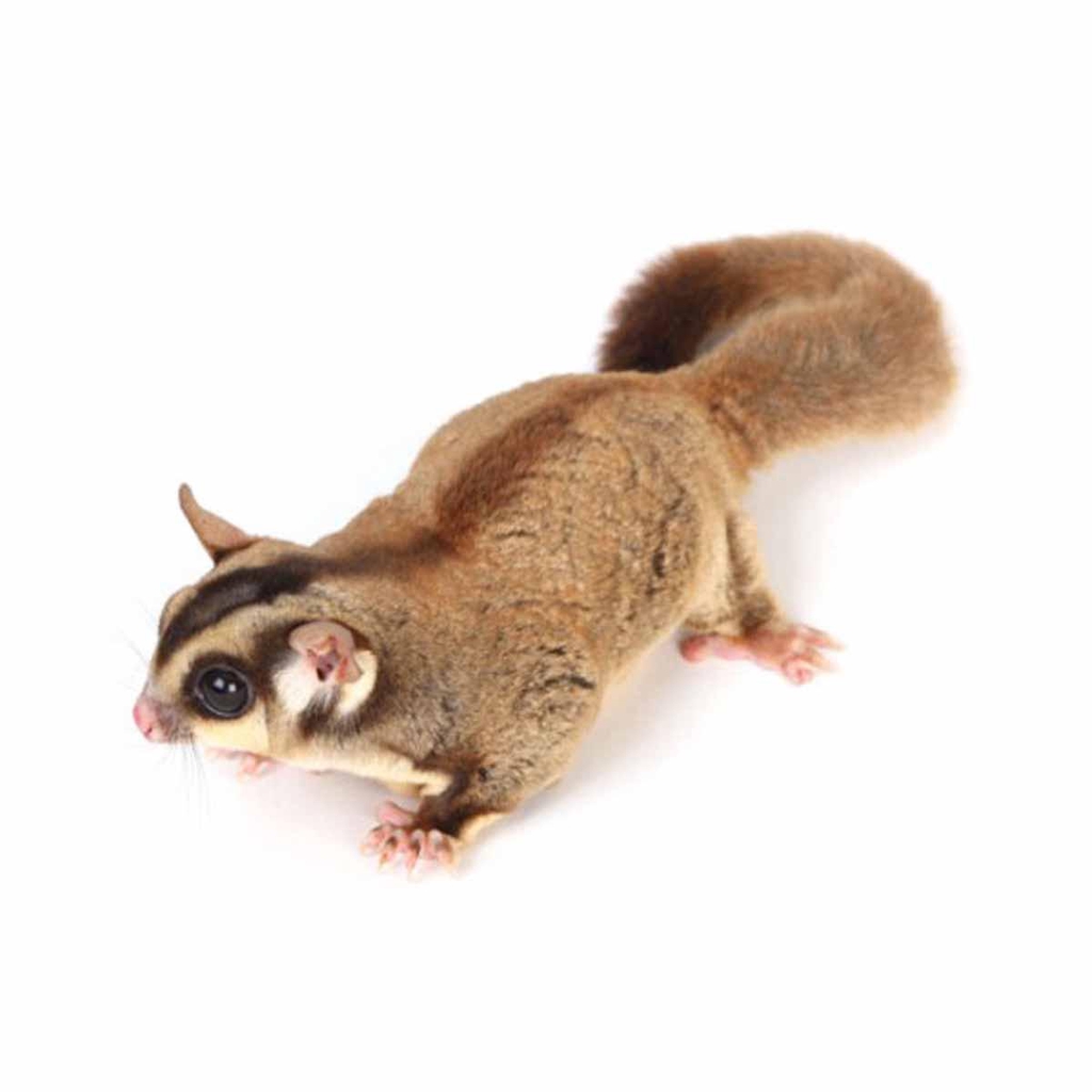 product_list_image_cover