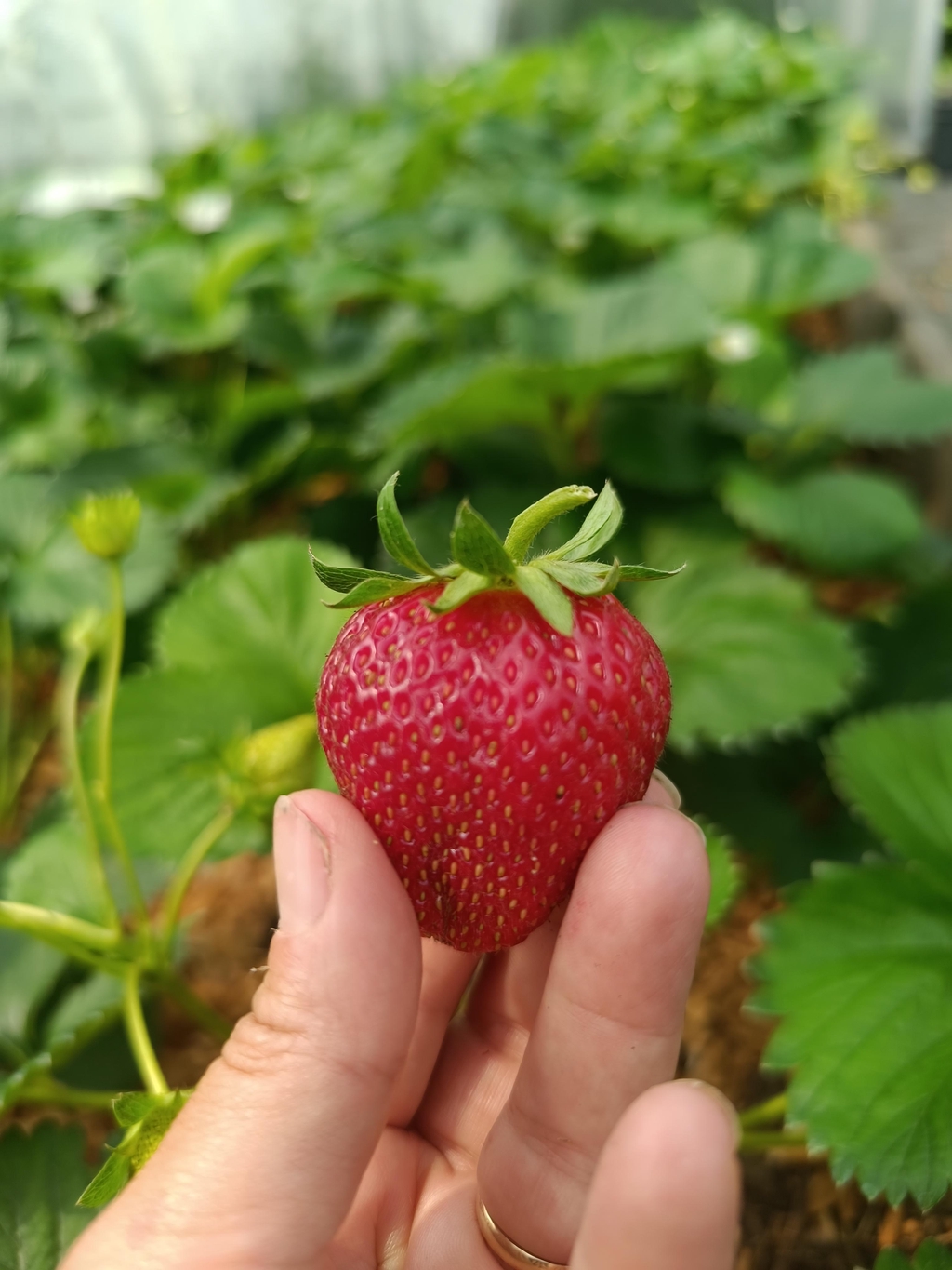Aurélie Lemarié productrice depuis 15 ans


