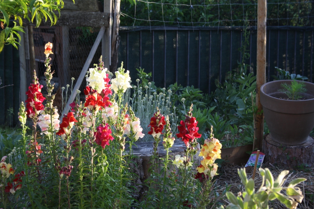 Aurélie Lemarié productrice depuis 15 ans