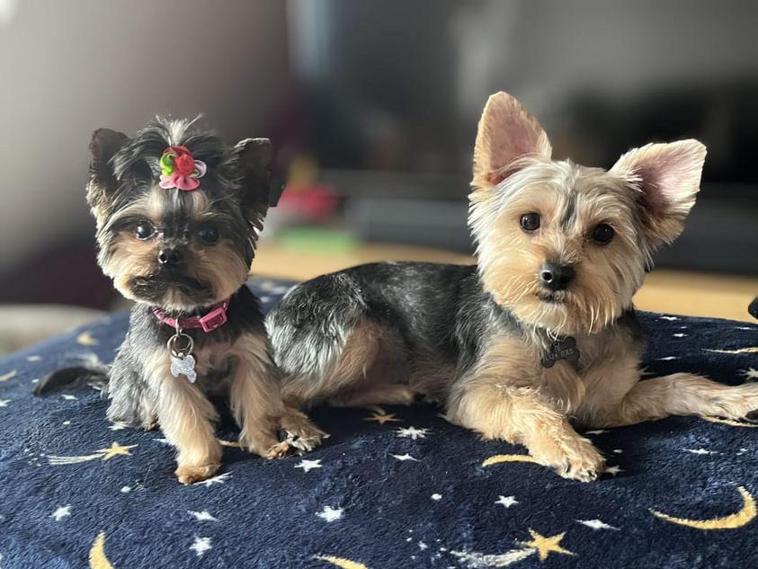 Pepper and Peaches 