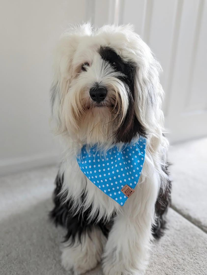 Monty