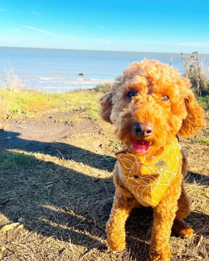 Margo