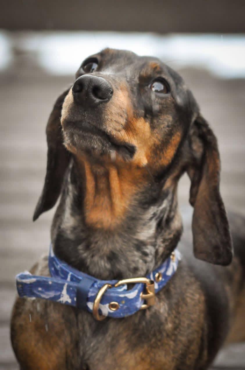 Maggie 