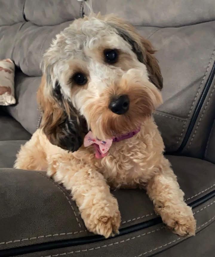 Winnie 