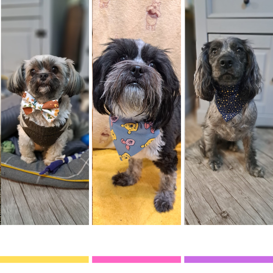 Albi, Millie and Hallie