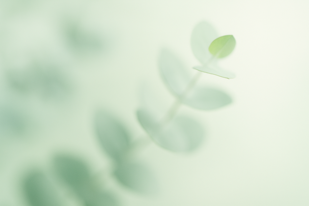 Bannière €colo’Chic – Mode seconde main douce et accessible