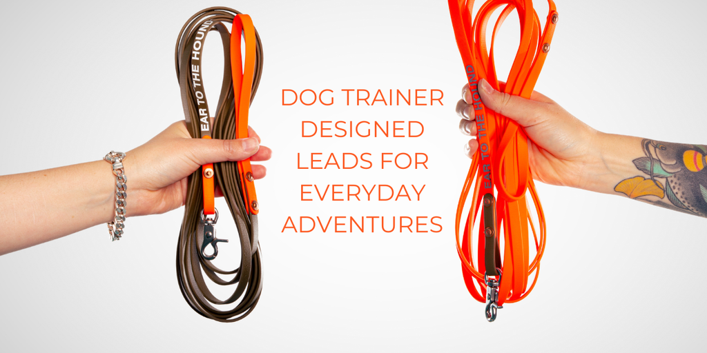 Dog Trainer designed leads for everyday adventures 
Ear to the Hound