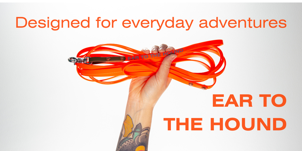 Durable Biothane dog leads
Ear to the Hound