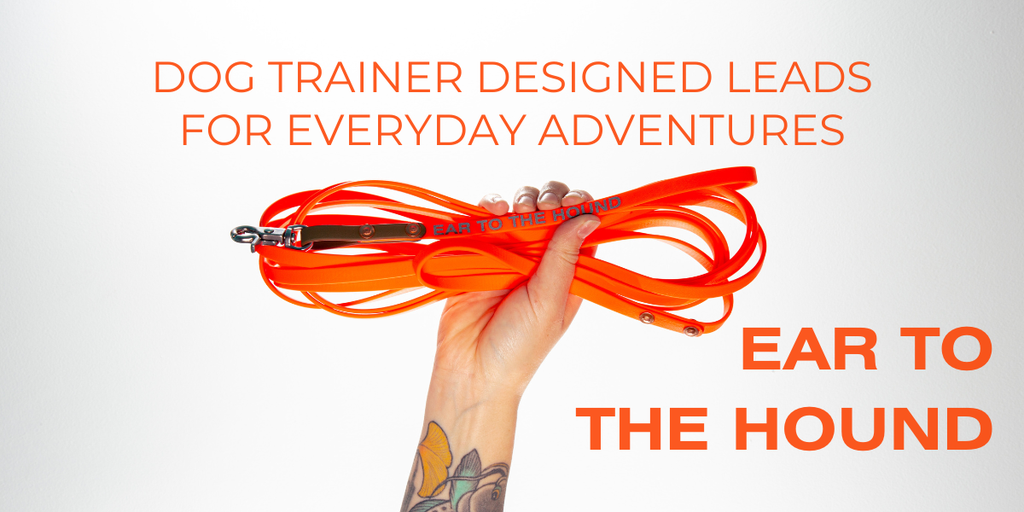 Dog Trainer designed leads for everyday adventures 
Ear to the Hound