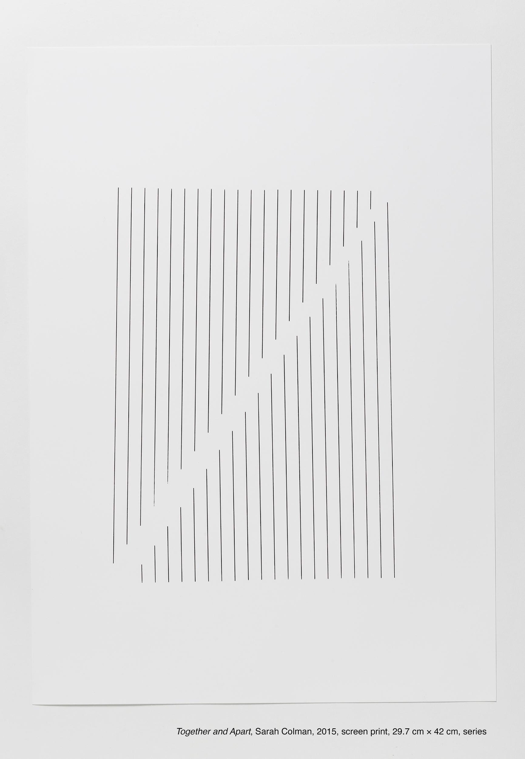Together and Apart, Sarah Colman, 2015, screen print, 29.7 cm × 42 cm, series