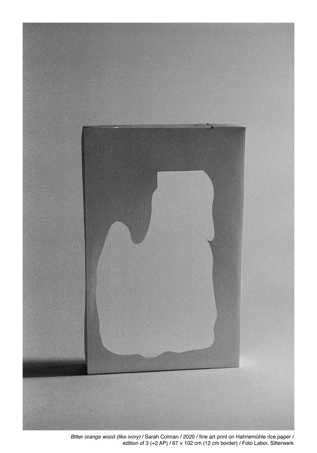 Bitter orange wood (like ivory) / Sarah Colman / 2020 / fine art print on Hahnemühle rice paper /
edition of 3 (+2 AP) / 67 × 102 cm (12 cm border) / Foto Labor, Sitterwerk