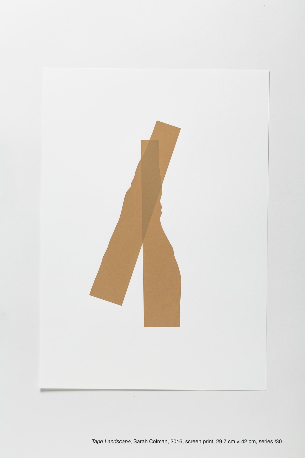 Tape Landscape, Sarah Colman, 2016, screen print, 29.7 cm × 42 cm, series /30
