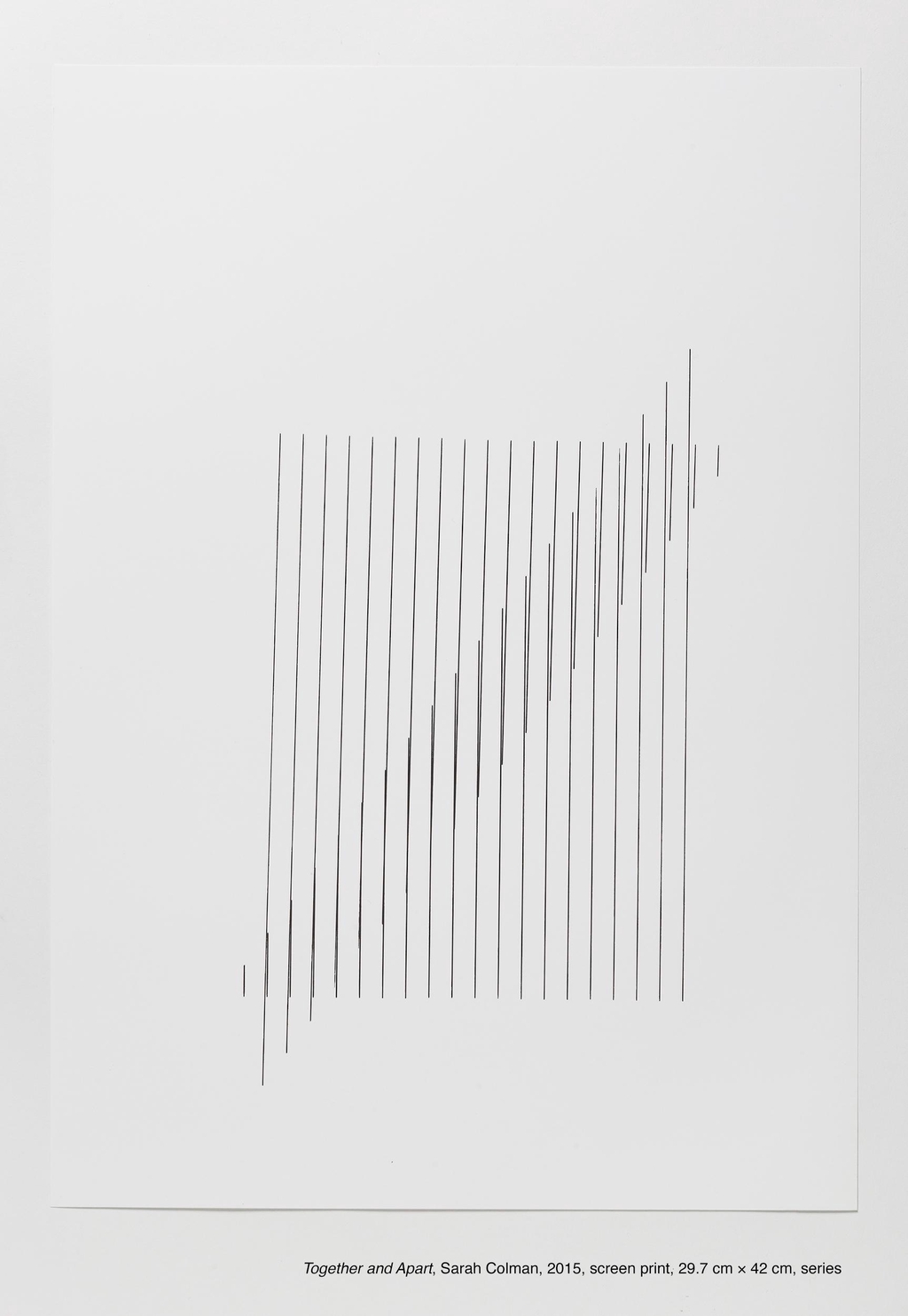 Together and Apart, Sarah Colman, 2015, screen print, 29.7 cm × 42 cm, series