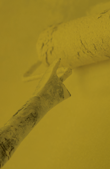 product_list_image_cover