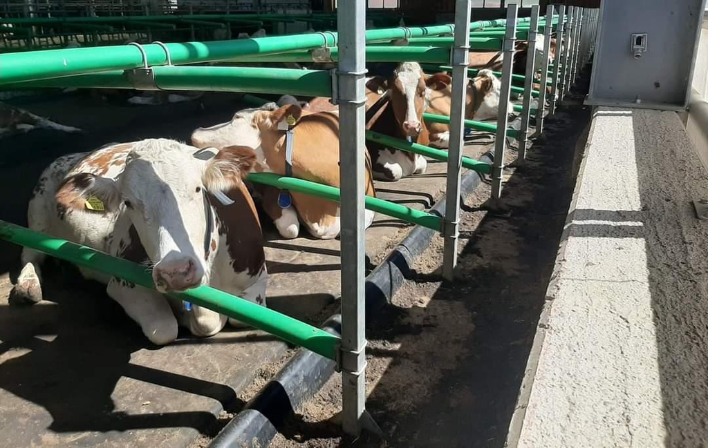 Aus der Praxis, für die Praxis