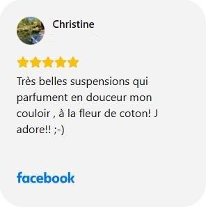 Très belles suspensions