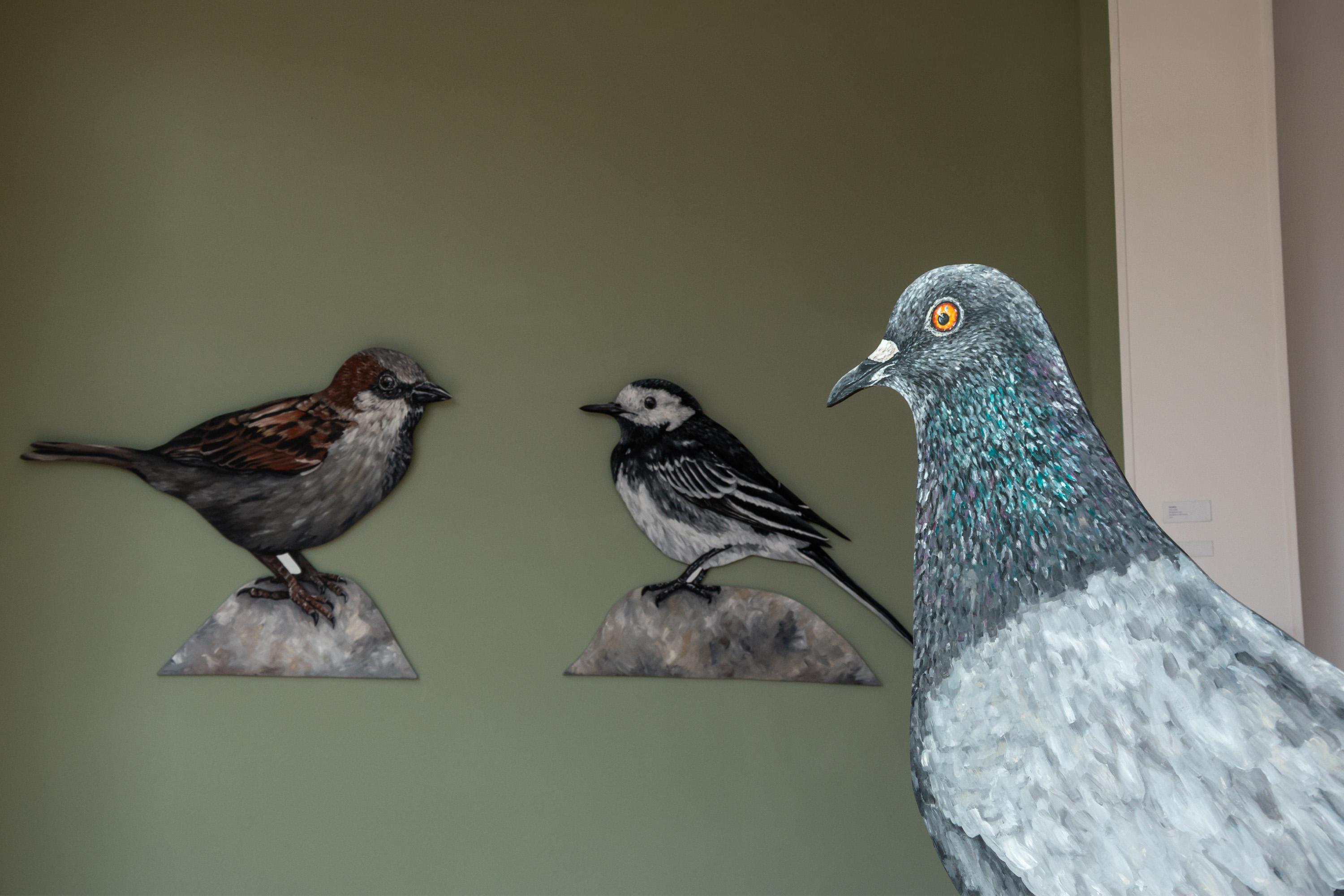 Bird Map 2026 exhibition - Pigeon, Sparrow, Wagtail in gallery space - artist Amy Foster - Yellow Bird Art Studio