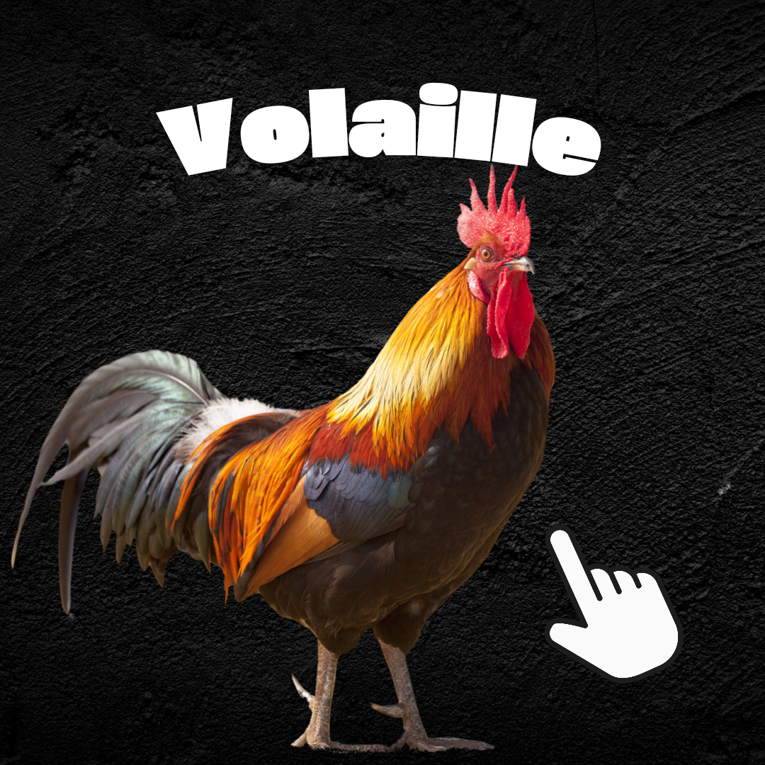 Chicken 🍗 (Volaille)