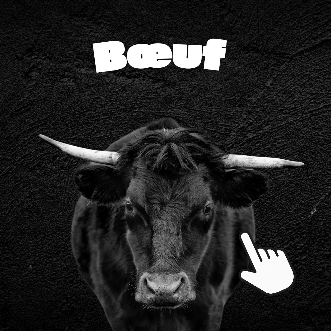 Boeuf 🐮