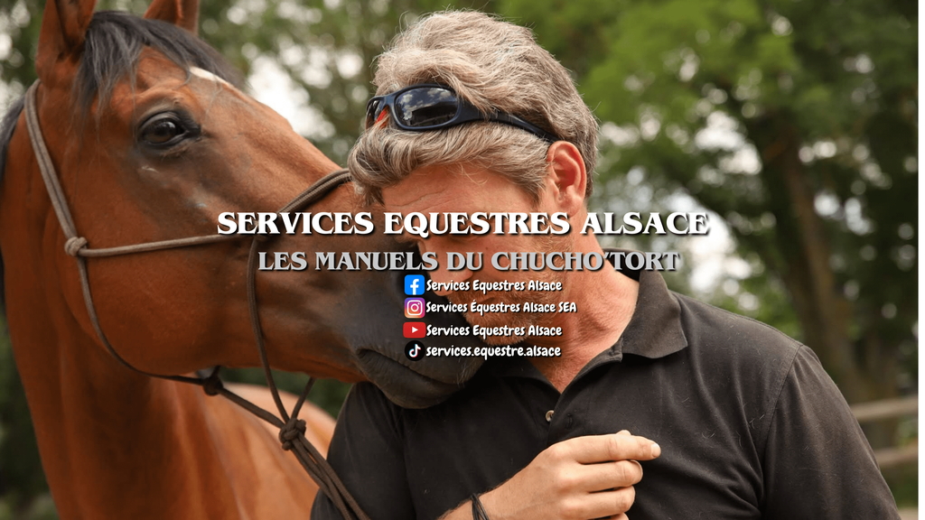 Méthode Chucho’Tort® – Travail à pied, embarquement en van, jeune cheval, confiance et communication équine.