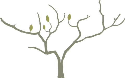 store_logo