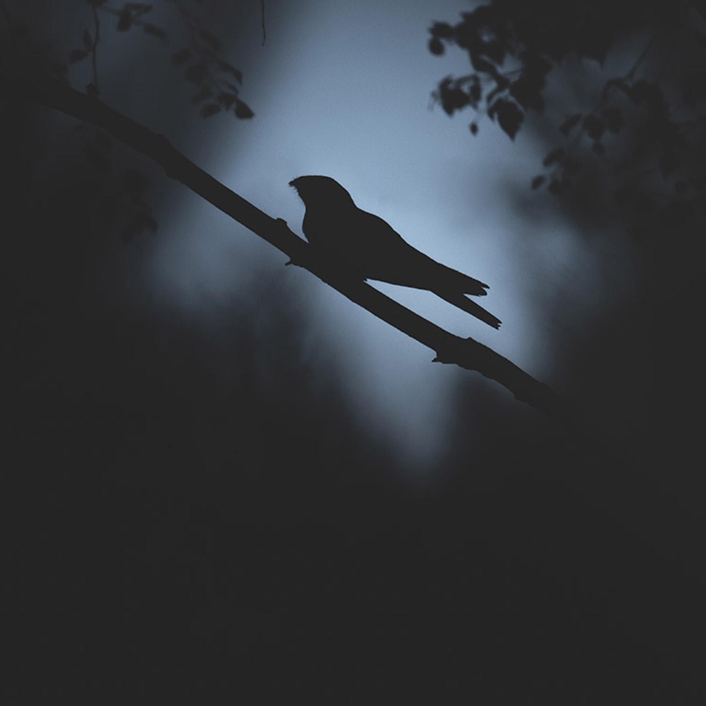 product_list_image_cover