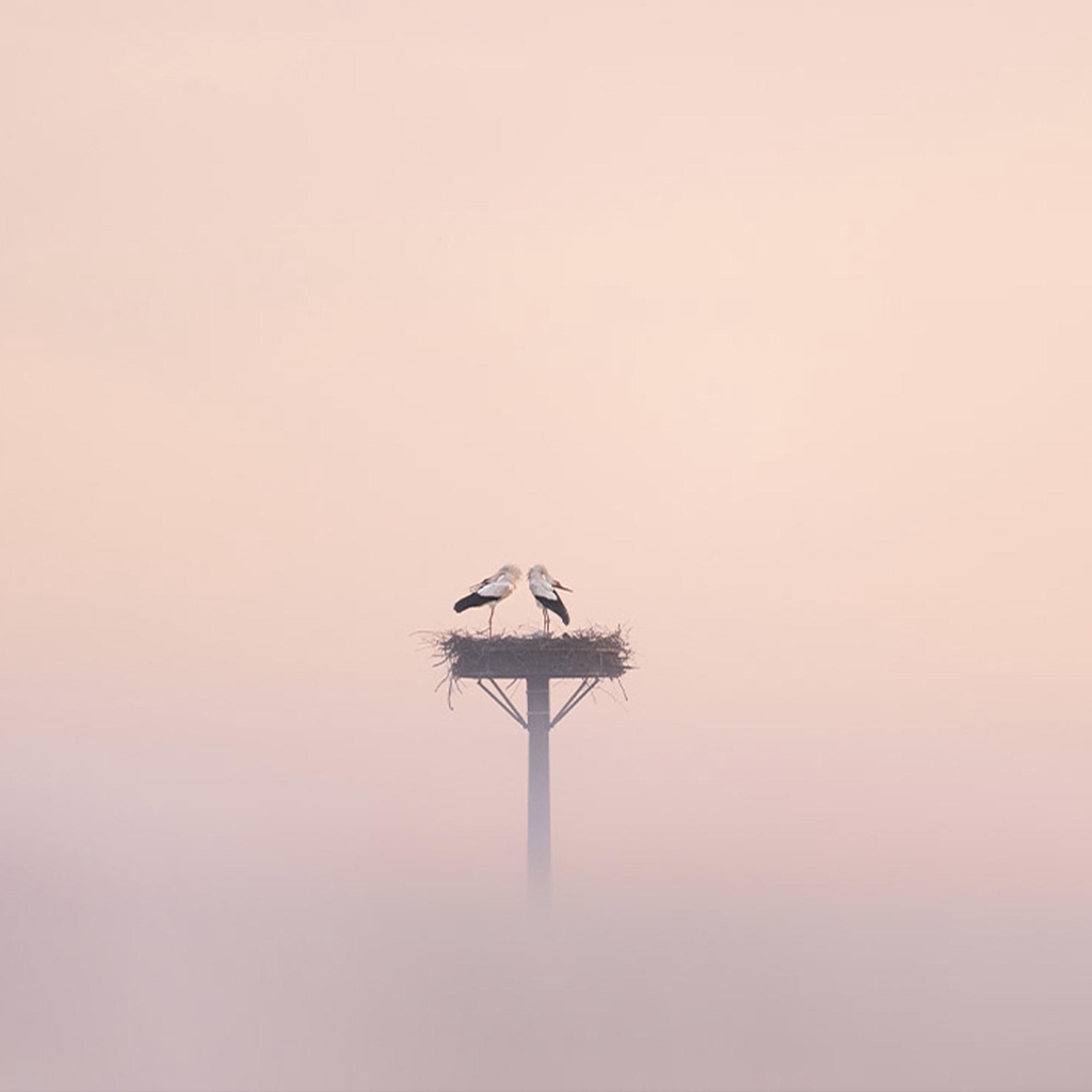 product_list_image_cover