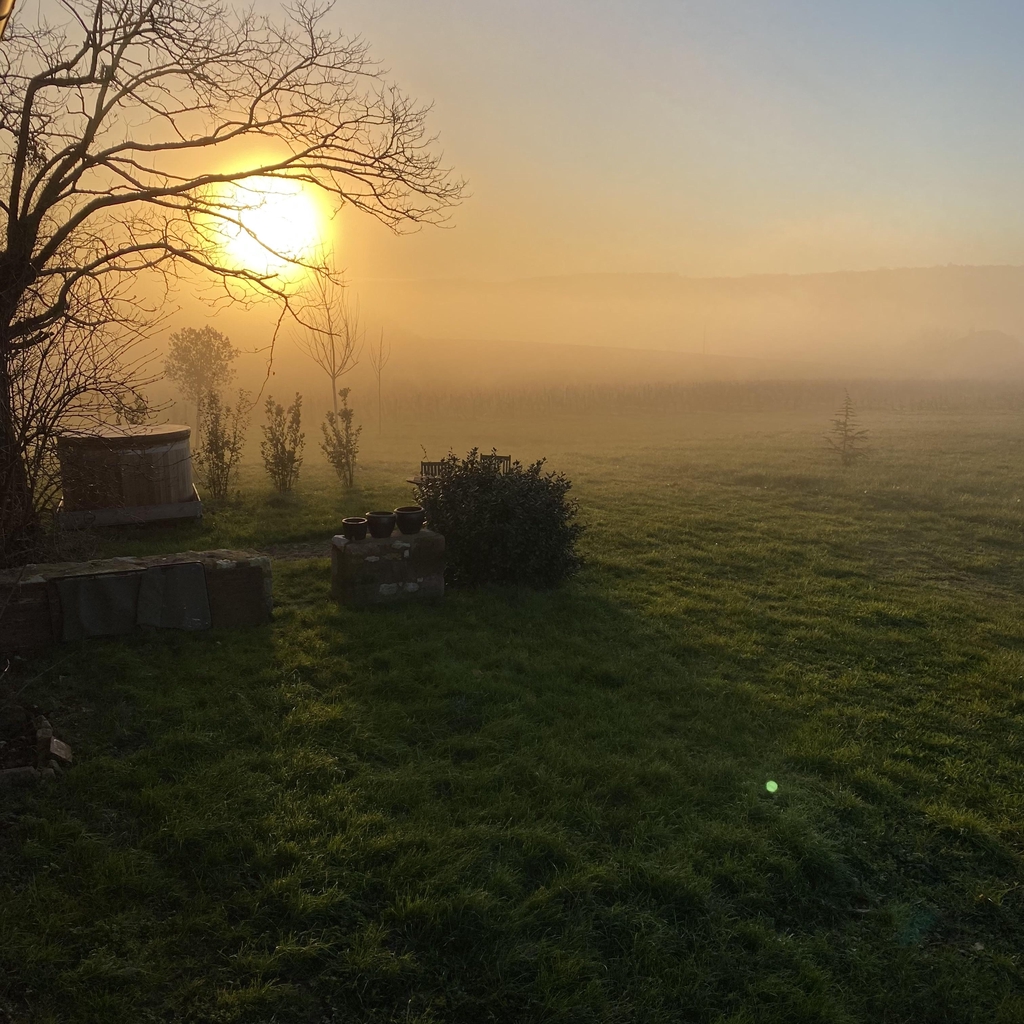 Les vins de Rouyré, vins naturels du Tarn
